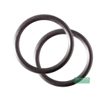 L�WENSTEIN medical- prismaAQUA - O-Ring, Heizstab
